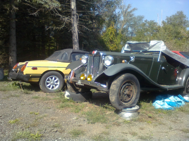 Illustration for article titled I Visited That Must-Sell Car Collection
